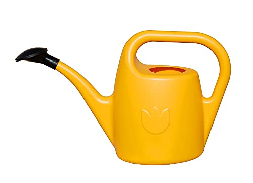 Watering Can Eva 2 Litres - Small Watering Can for Indoor and Outdoor Plants - Plastic House Plant Water Can, Yellow
