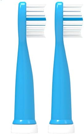 Rechargeable Electric Toothbrush