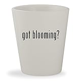 got blooming? - White Ceramic 1.5oz Shot Glass