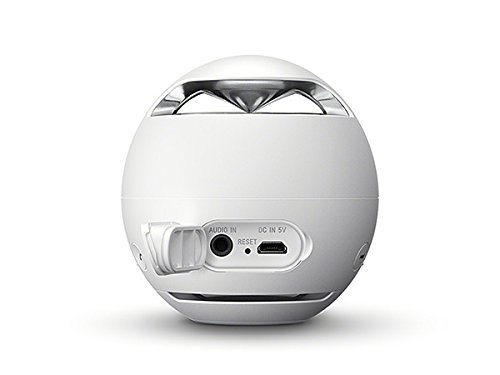Sony Srs X1 V Bluetooth Wireless Speaker System Buy Online In Cape Verde At Capeverde Desertcart Com Productid