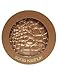 Bare Illuminating Bronzer - Goddess 40