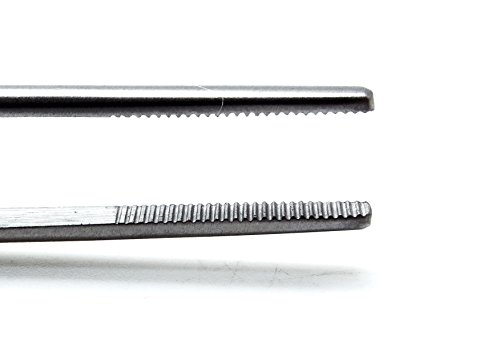 3× Adson Bayonet Forceps 16 cm Surgical Medical Dressing Serrated 1.7 cm Tip Instruments - Thumbnail 2