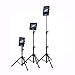 IPad Tripod Stand, Raking Foldable Floor Height Adjustable Tablet Tripod Stand for iPad Mini, iPad Air, iPad 1,2,3,4 and Most 7-10 Inch Tablets, Carrying Case and Flashlight as Gifts