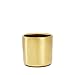 Metallic Gold, Succulent Plant Pot - 4 inch Pot Can Hold Large & Small Succulents, Cactus and Flowers - Cylindrical Modern Design - Gold for in-Style Look