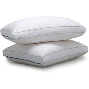Sheex Ecosheex Down Alternative Back Stomach Sleeper Pillow Helps