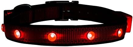 LED Dog Collar for Pet Safety. Money Back Guarantee. Flashing Dog Collar with LED "Jewels" Comes with Extra Batteries. Light Up Your Dog Today