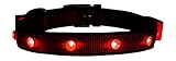 LED Dog Collar for Pet Safety. Money Back Guarantee. Flashing Dog Collar with LED 