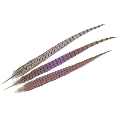 Pheasant Feathers
