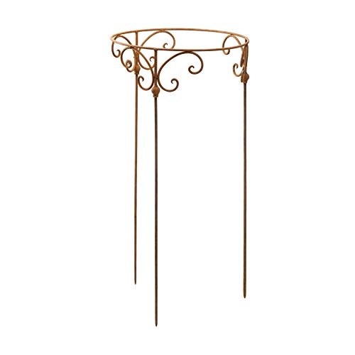 Staudenhalter 50cm Strauchhalter Staudenbinder rund Rankhilfe Stütze Pflanzen Metall Eisen Rost Deko – Bild 6