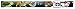 Buckle Down Big Boys Eevee Evolution Action Poses/type Scene Seatbelt Belt, multi, Regular