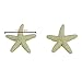 LJY 40 Pieces 1.2 Inches Beige Resin Pencil Finger Starfish for Wedding Home Decor and Craft Project