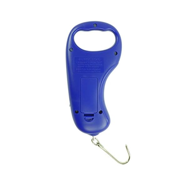 Home-Lake-Digital-Fish-Scale-by-Polychrome-Gear-99lb45kg-Mountain-Lake-Blue