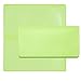 Spring Green Vinyl Checkbook Cover, Top Tear Personal Vinyl Checkbook Cover
