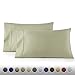 HC COLLECTION 1500 Thread Count Egyptian Quality 2pc Set of Pillow Cases, Silky Soft & Wrinkle Free (Fits Queen)- Standard Size/Sage Green primary