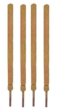COIRGARDEN-Moss Coir Plant Support Stick - Coco Pole 4.5 feet (137 cm) Length - 4 Pieces - Coir Moss Stick Money Plant Support, Housing Plants Extra Large Size