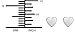 Hypoallergenic Sterling Silver Little Heart Stud Earrings for Kids (Nickel Free)