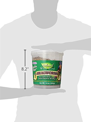 F.M. Brown's Garden Chic Mealworms - Image 6