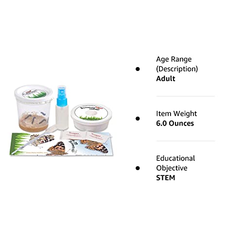 Nature Gift Store 5 Live Caterpillars Shipped Now Butterfly Kit Refill