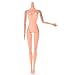 Supershopping 1 Pc 12 Jointed Movable Nude Naked Doll Body Parts 25cm/10.23
