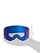 Dragon Alliance NFXS Ski Goggles