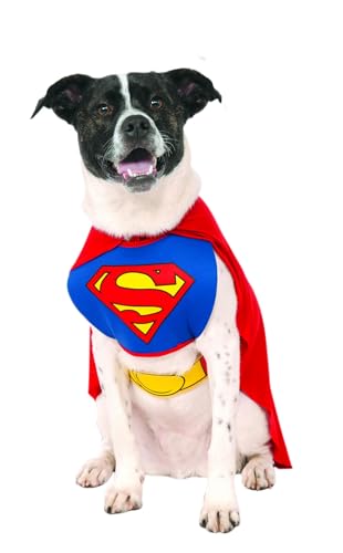 Rubies 887892X Official Superman Pet Dog Costume, Blue/Red, X-Large Halloween Halloween