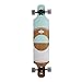 BACKFIRE Drop Through Longboard Complete Lightweight 39 8.625inch Professional longboards (White)