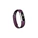 Fitbit Alta Fitness Tracker, Silver/Plum, Large (US Version)