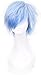 Simpleyourstyle Ice Blue Anime Cosplay Wigs Short Heat Resistant Synthetic Full Wigs for Men 30cm 11.8inch 160g