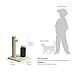 Amazon Basics Cat Scratcher - Indoor Classic Single Cat & Kittens Scratching Post with Brush, Small (16.5