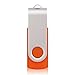 RAOYI 10PCS 2GB USB Flash Drive Orange Pen Drive Thumb Drive USB 2.0 Memory Stick Swivel Design
