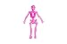 UpBrands Halloween Party Favors for Kids – 24 Stretchy Skeleton Toys – Safe Mini Skeletons for Goodie Bags, Classroom Prizes or Birthday Gifts