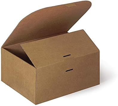 Caja de Cartón 25 x 20 x 12 cm CTM11 Pack 10 uds: Amazon.es: Oficina y papelería