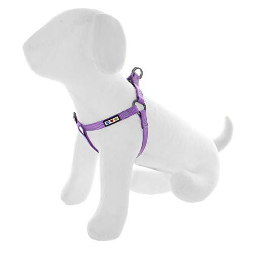 extra small dog harness