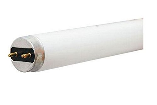 Ge Fluorescent Lamp 48 In. Med Bi Pin G13 32 W 1800 Lumens 4