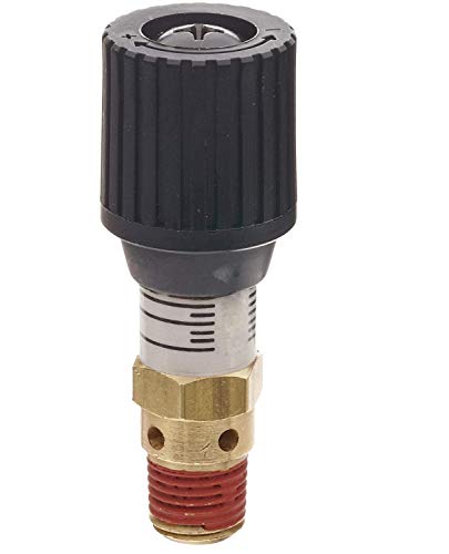 CR Series Brass Pressure Relief Valve, 0-100 psi Adjustable Pressure Range, 1,4 Inch Male NPT (New Version)