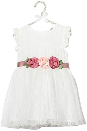 Si Rosa by Hopscotch Girls Poly Cotton Adorable Applique Dress in White Colour