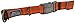 Coastal Pet Products DCP36923COG K9 Explorer 1-Inch Dog Collar, Large, Orange