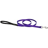 LupinePetBasics 1/2" Purple 6-foot Padded Handle Leash for Small Pets