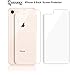 iphone 8 screen protector Pack of 2|Lifetime Replacements|iphone 8 Back Glass Screen Protector|4.7 Inch Tempered Glass Screen Protector iphone 8 with Scratch Resistant|SHARKSBox