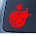 LADYBUG - Lady Bug - Car, Truck, Notebook, Vinyl Decal Sticker #1094 | Vinyl Color: Red