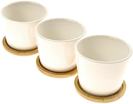 Stylish Ceramic Succulent Planters By EcoPlant - Modern Set Of 3 Mini Flower Pots With Practical Bamboo Draining Tray - Decorative Cactus Planter Pots (3, Ceramic White - Round Tall)