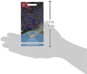 Mr Fothergill's 16814 Flower Seeds, Lobelia Sapphire Trailing, Blue - Image 4