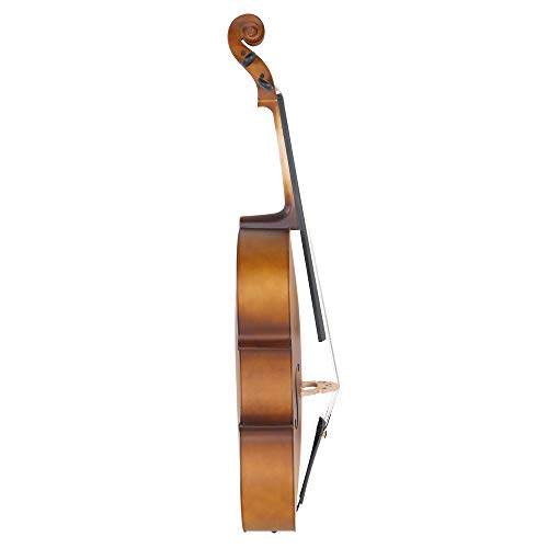 6 Acoustic+Beautiful+Varnish+Finishing+Golden