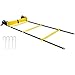 Ohuhu Agility Ladder, Speed Training Exercise Ladders for Soccer Football Boxing Footwork Sports Speed Agility Training with 4 Steel Stakes & Carrying Bag, 12-Rung