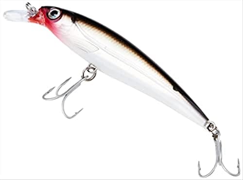 Esca Da Pesca Rapala X-Rap Saltwater - Modello Argento Blu Sgombro - Foto 3