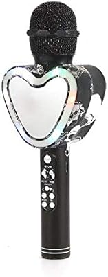 q5 karaoke microphone and speaker