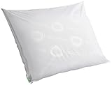 Clean Rest Premium Water-Resistant, Allergy and Bed Bug Blocking Pillow Encasement, Standard/Queen