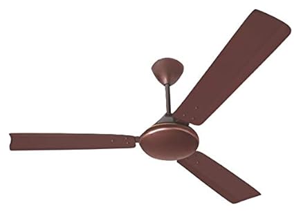 Relaxo Lovely 1200 Mm Ceiling Fan Metalic Gold Amazon In Home