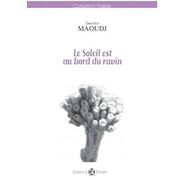 Le  soleil est au bord du ravin