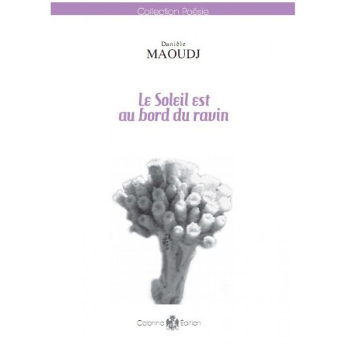 Le  soleil est au bord du ravin